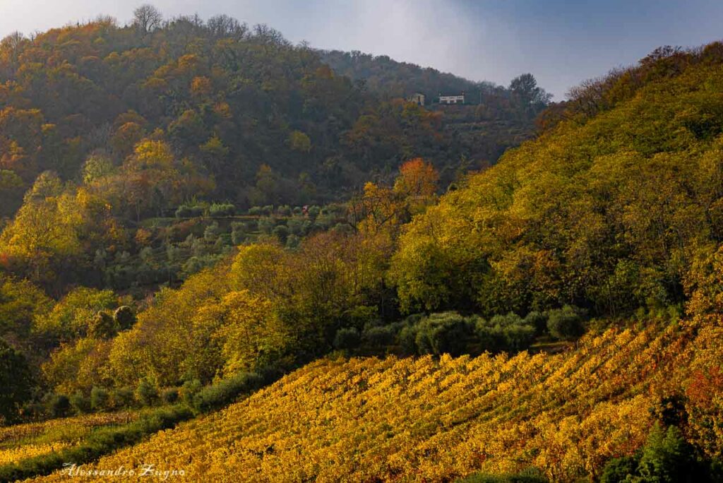 bellissima immagine paesaggio autunnale