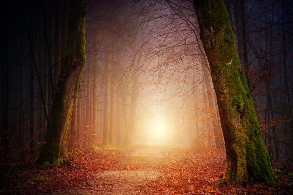 bellissima immagine paesaggio autunnale con nebbia