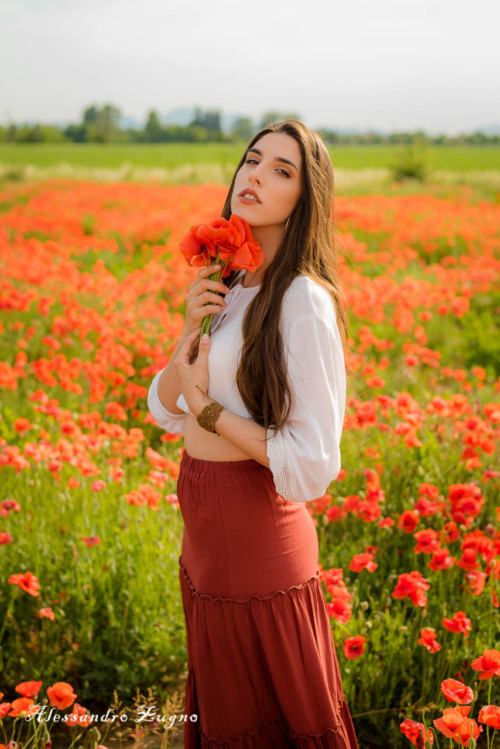 shooting fotografico nei papaveri rossi